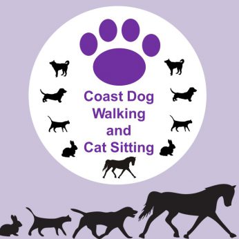 Resume dog walking The Balance