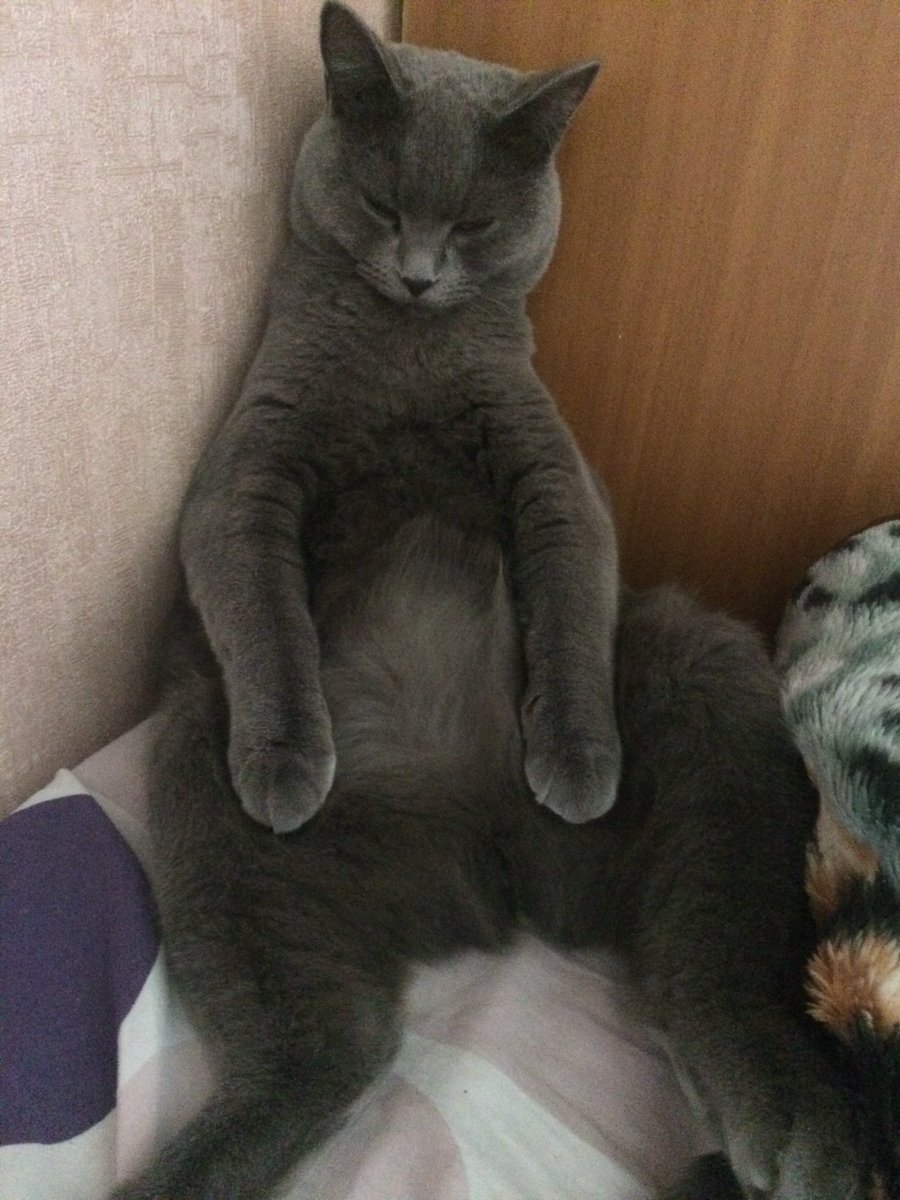 Так люблю😻