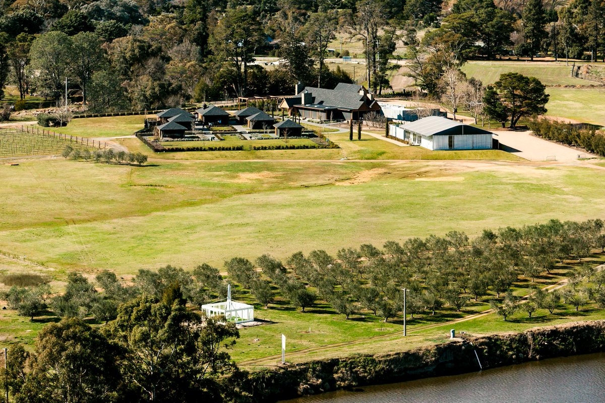 Did you know we have an olive grove, vineyard and market garden hiding down near the river?