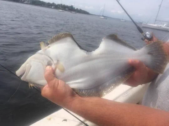 食べられたのに生きてたの？魚の治癒力が意外と凄いｗｗ