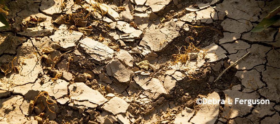 on_agfax's tweet photo. Farm Worker Salaries – Ins And Outs Of What To Pay – #DTN > #dtnpf https://t.co/snLhwgWlnU https://t.co/quXg6h106F