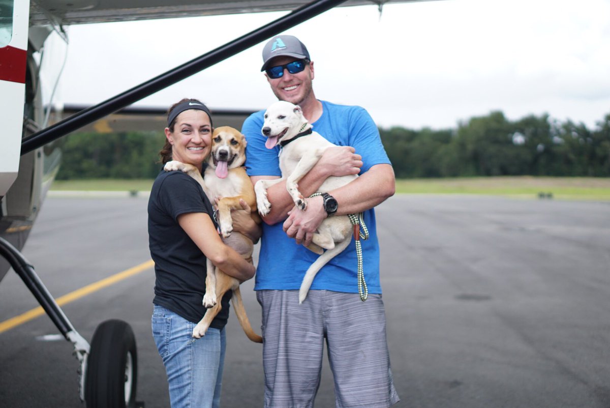 RoyHalladay's tweet photo. Flew a Dog Rescue trip to Alabama for two 5m old puppies who's ears were cut off w/ scissors to prep them as practice for dog fighting!! SAD https://t.co/A6EYYFGoT5