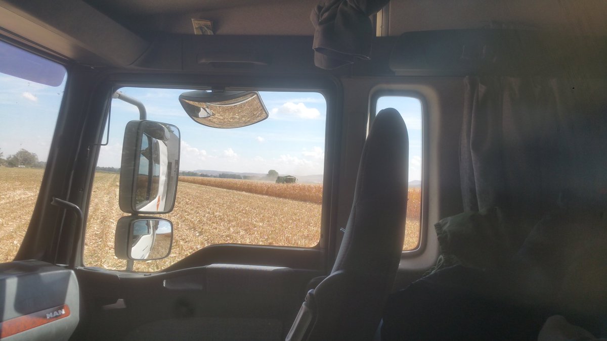 JM_TRANS_TOROS's tweet photo. Hoy con el piso móvil transportamos #Maiz de la #Cosechadora para @AgriBelmonte para su #Secadero en #Aranjuez https://t.co/SVKSBNY2Wl