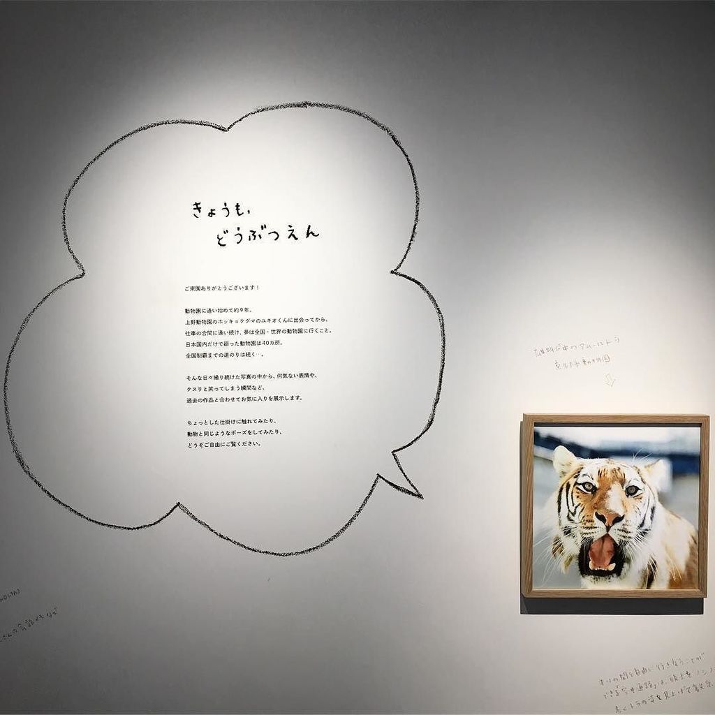 Circlegallery Twitter Search Circlegallery Twitter Search