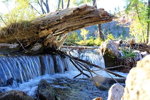 #beautysurroundsus #rapidcreek #Autumn #waterfall @SDOutdoors @SDMagazine @southdakota @VisitRapidCity