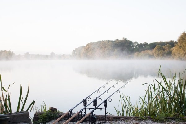 TotalCarpMag's tweet image. Carping in Brevonne... Check out @MK_Carp_Fishing's latest blog on the #TC website - goo.gl/NX5LWK