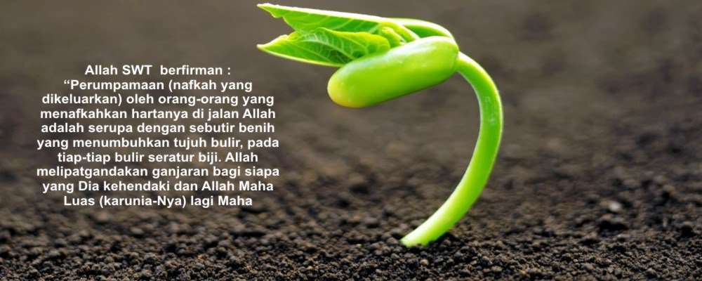 ridwan_nm's tweet photo. Sedekah Tidak Mengurangi Harta https://t.co/CObEeKskVS https://t.co/ErVERaCK4j