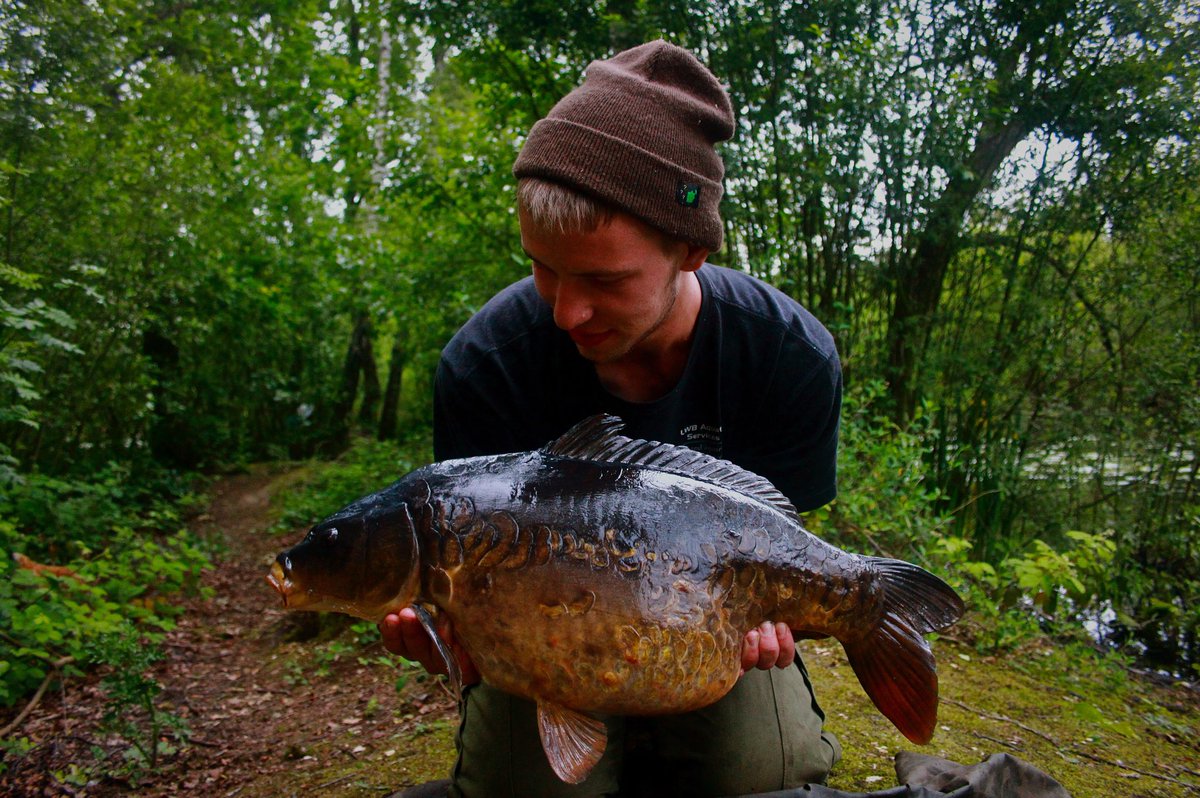 ccmoore_baits's tweet photo. An old chunk for Jake Wright tempted from a small pit on Northern Specials.
#Northernspecial https://t.co/s8PaAxpWoK