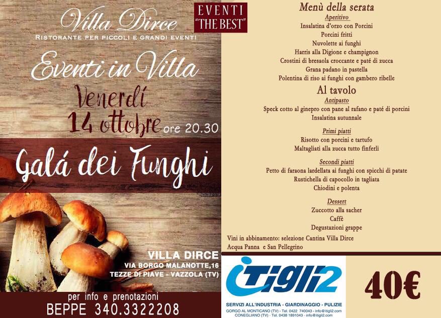 geofonsatti's tweet photo. Eventi the best come back venerdì 14.10.16 con la cena GALA' DEI FUNGHI nella splendida villa Dirce a TEZZE DI VAZZOLA (TV). https://t.co/Fg6U6xQbNt