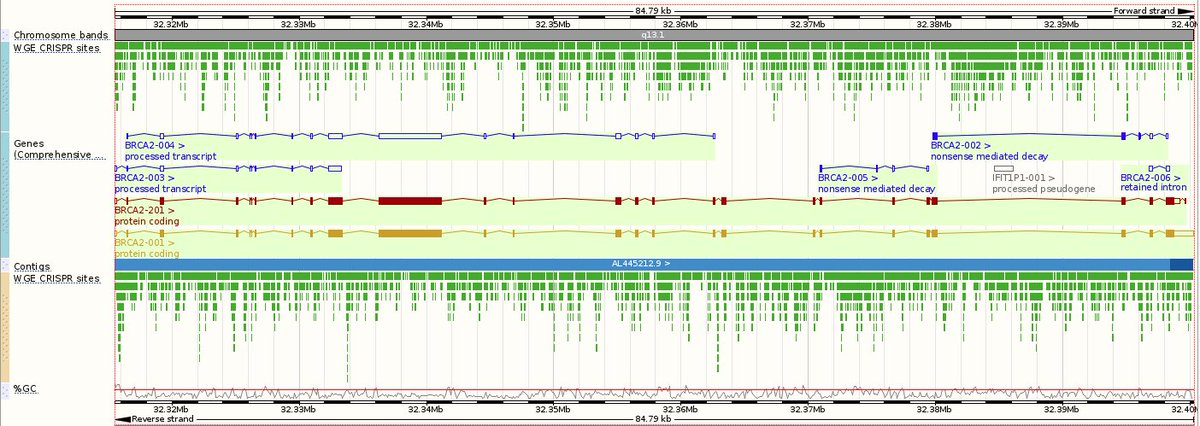laurastephen's tweet image. Find out more about CRISPR targets in @ensembl in their blog buff.ly/2cwJB5e #EWGBigdata Predicted by WGE buff.ly/2cwL8Z8