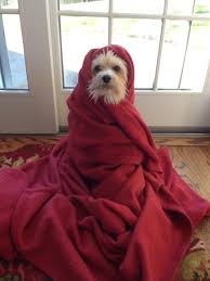 Grab that jacket, it's 3C at 6 am. Going to a high of 18C this aft. Clouds increasing thru the day. Showers tonight.