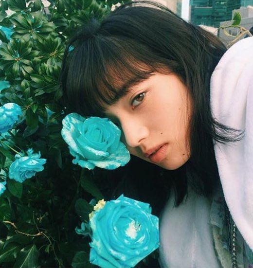 EmmEmm81387833's tweet photo. 小松菜奈×花      可愛すぎやん https://t.co/2DRCR4pSq7