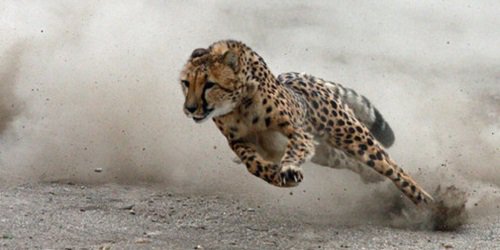 Software_new2's tweet image. #Software Hear from Chris Hsu, head of #HPESW on what excites him abt spin-merge w/ MicroFocus: …