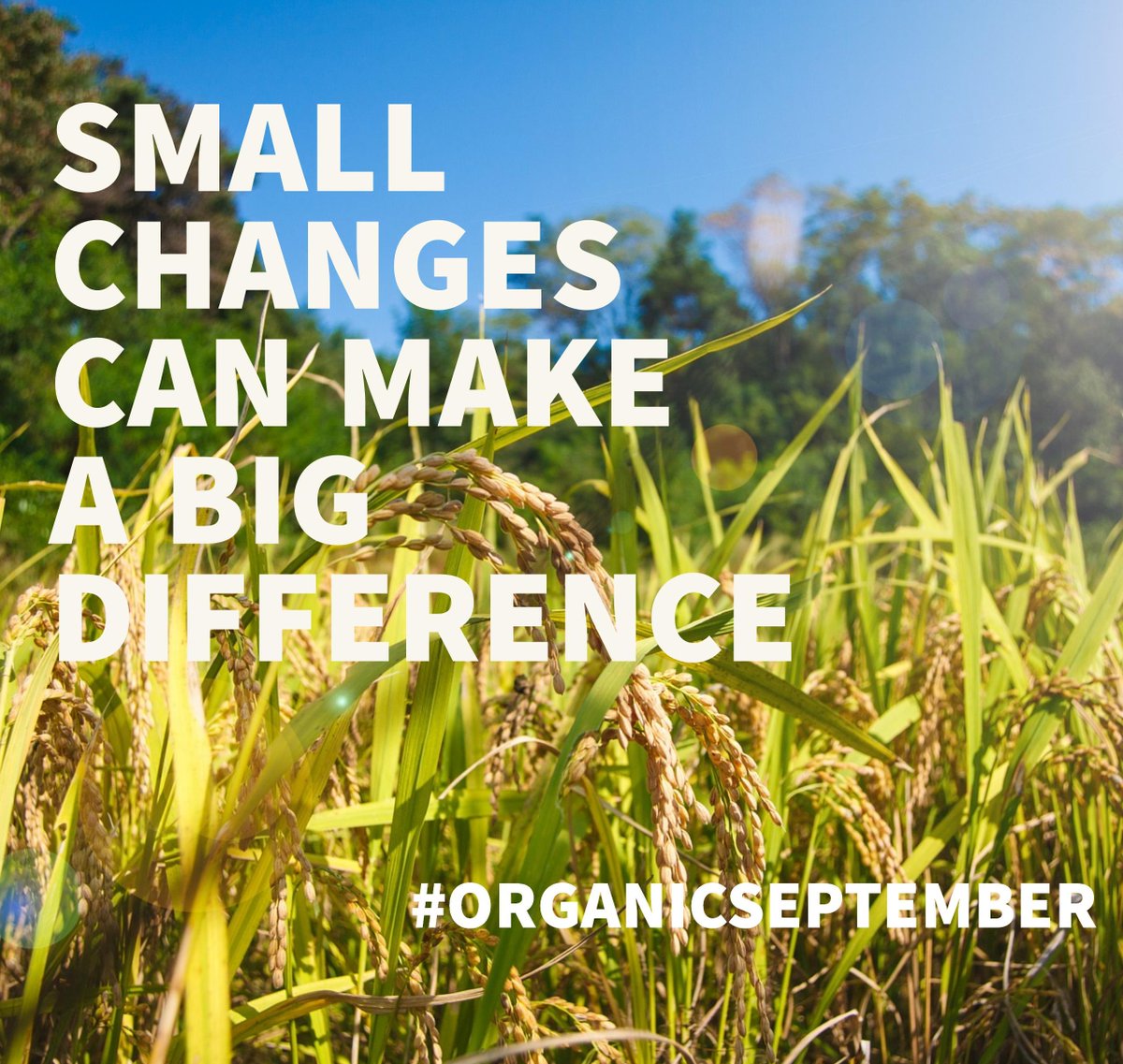 earthyfoods's tweet photo. Eat. Drink, Use. Choose. Organic. #OrganicSeptember #EarthyEdinburgh Small changes can make a BIG difference https://t.co/1bLham4k4N
