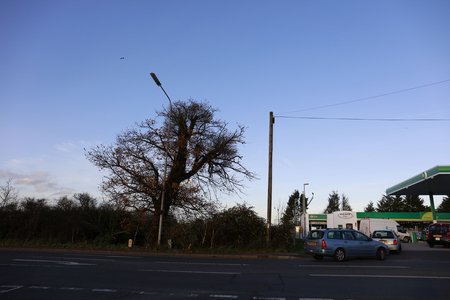BasiIdon's tweet photo. Council approves another 47 homes for Rayleigh https://t.co/Sdd9WQccF1 #Basildon https://t.co/hyHkhY8l29