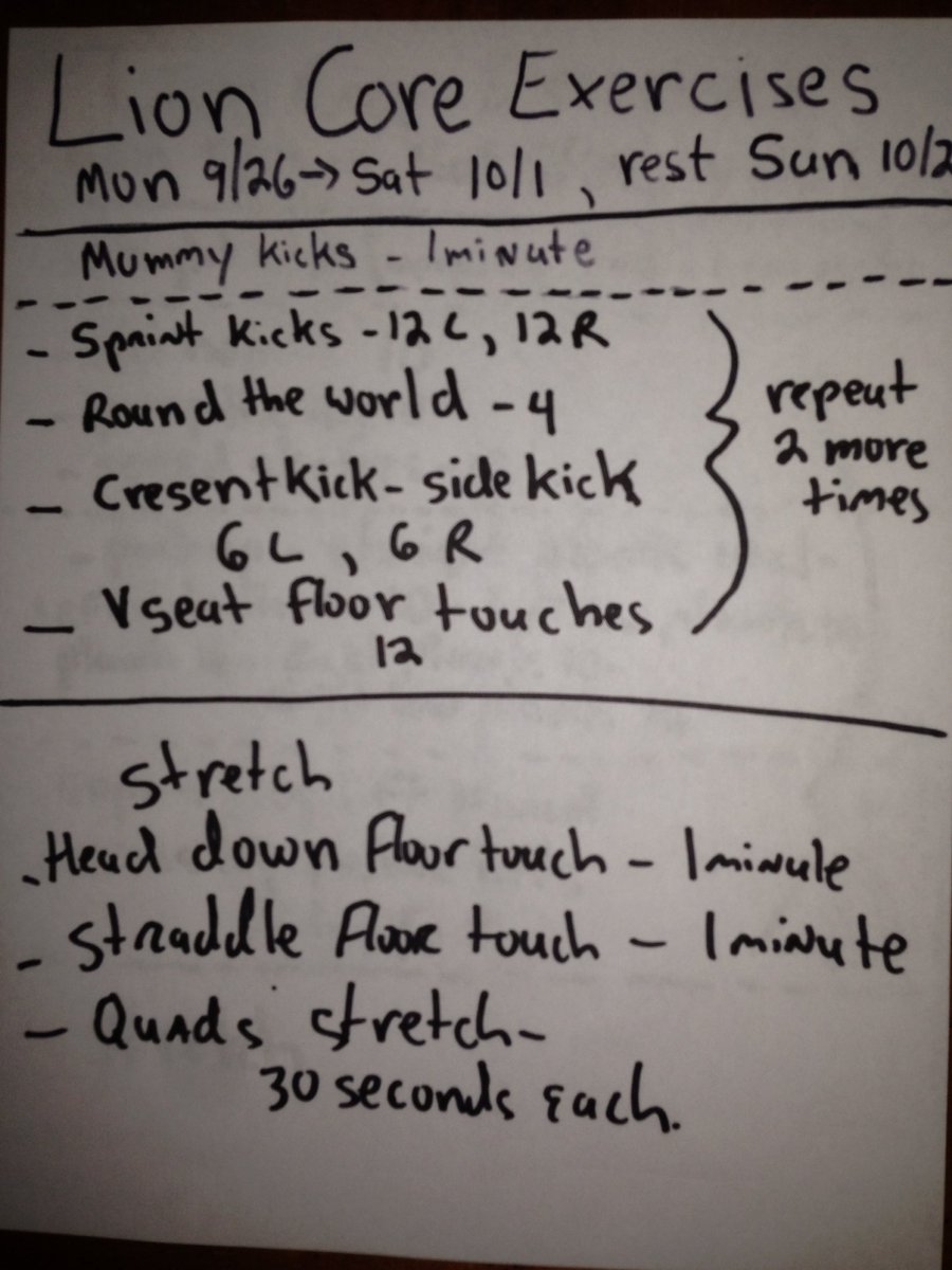 dugLiontrainer's tweet image. #strongtothecore