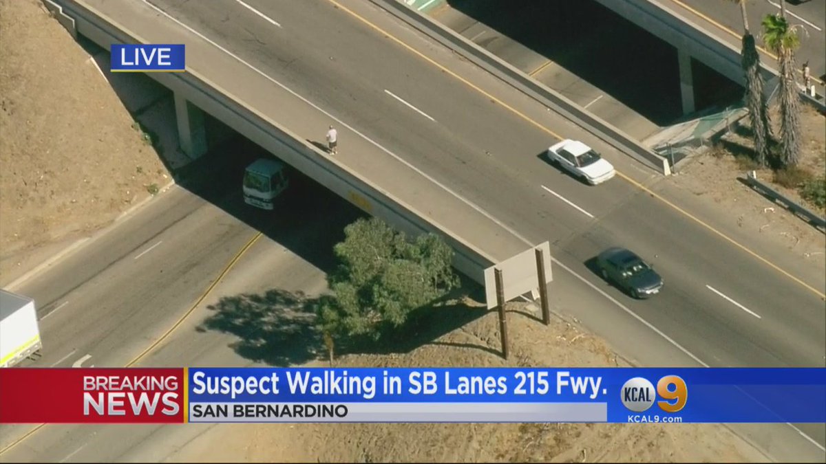 PURSUIT UPDATE: Suspect now walking along Palm Ave overpass near 215 Fwy with long object in his hand