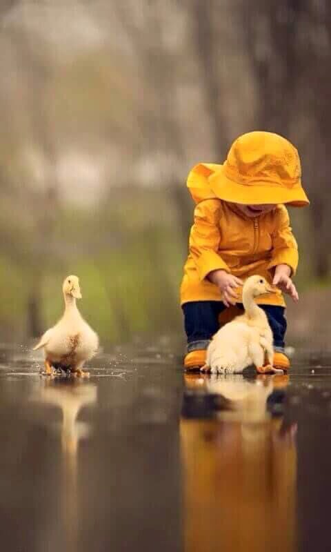 ٰكم هو جميل ان نحب الاشـخاص الذين لا تغيرهم الحيـاة 
يبقون گما عرفناهـم أول مـره