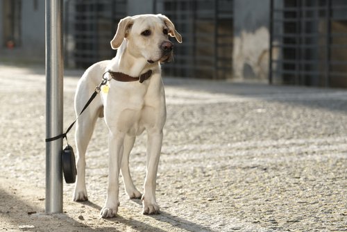 Guardia Civil tweet media