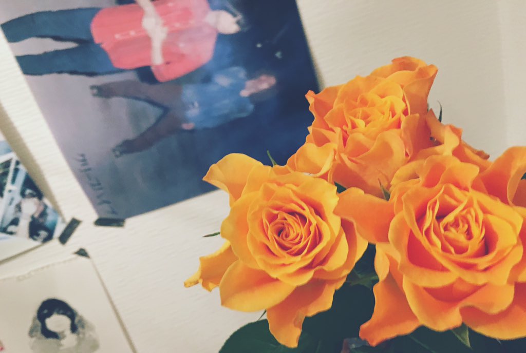 あやころ در توییتر オレンジが嫌いなのに オレンジのバラを買いました 実際はピンクと黄色と オレンジの間のような色 綺麗 クリープハイプ 尾崎世界観 バラ オレンジ 生花