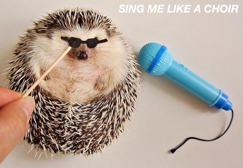 HEDGEHOGLYRICS's tweet photo. bite - troye sivan https://t.co/WAt3xr2Jf5