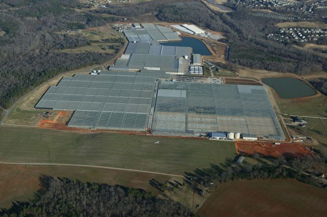 Beytes's tweet photo. @katiefehren Read "Rebuilding the Factory." Check out Metrolina Greenhouses in NC. 7.6 m sq ft at one location. That's a gigafactory! https://t.co/q1mLkMdwI1