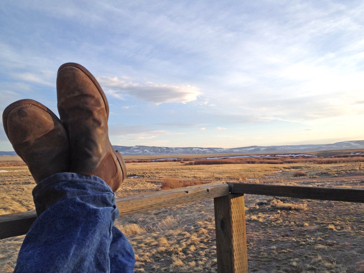 inleveren viel Zuivelproducten Crockett & Jones on Twitter: "@iscanlon23 @RuralMaps Chelsea 5 in rough-out suede." / Twitter inleveren viel Zuivelproducten Crockett & Jones on Twitter: "@iscanlon23 @RuralMaps Chelsea 5 in rough-out suede." / Twitter