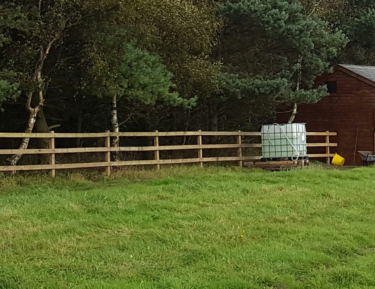 JACKSONFENCING's tweet photo. Post and 3 rail fence. https://t.co/TJ89XyKDqM