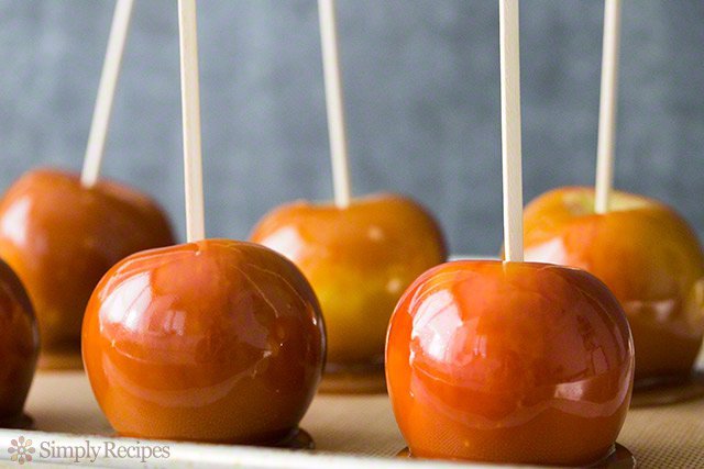 HCVirginiaTech's tweet photo. Get in the fall mood &amp; check out some yummy fall treat recipes! https://t.co/mb7HtPfms0 https://t.co/zkHv3ZQsCz
