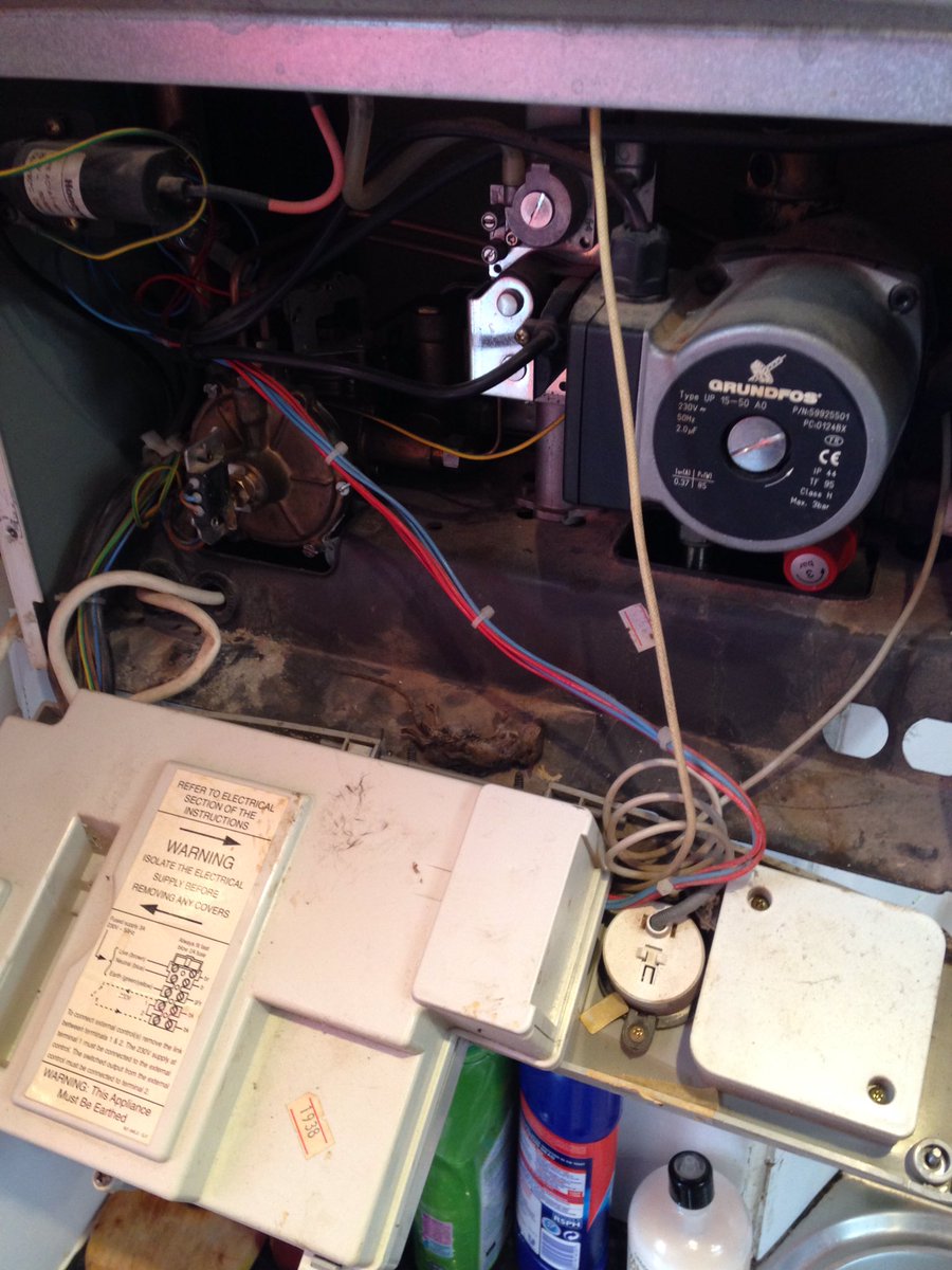 boilercraic's tweet image. When you open the boiler and someone is waiting to say hello. 🐭🐭😲 #rodentproblems