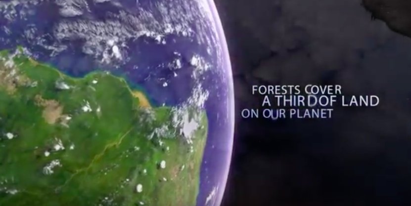 FAOForestry's tweet photo. Forest covers 31% of the world’s land area #gfra2015 https://t.co/O7u56z6d8G https://t.co/yZnI3ES8x0