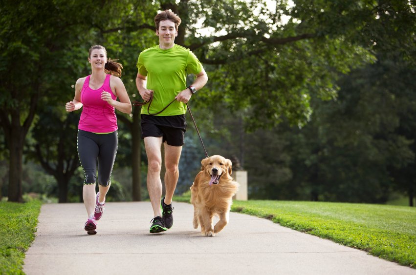 Pet sports. Активный образ жизни. Собака для активного образа жизни. Физически активная жизнь. Счастливые люди спорт.