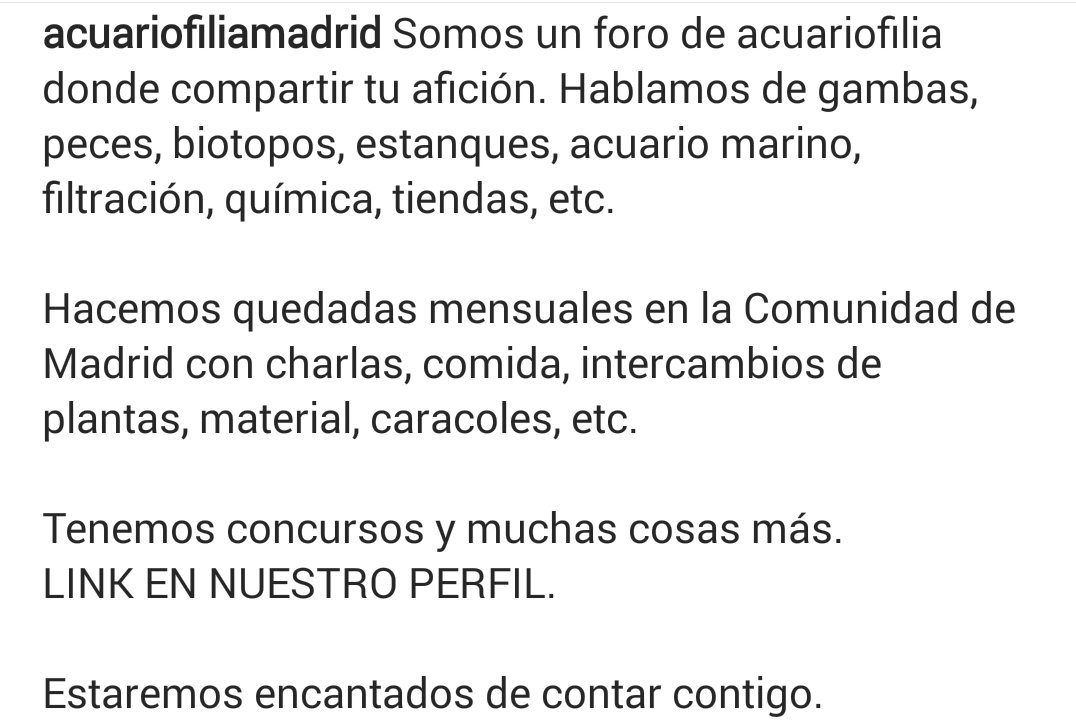 AcuariofiliaMadrid tweet media