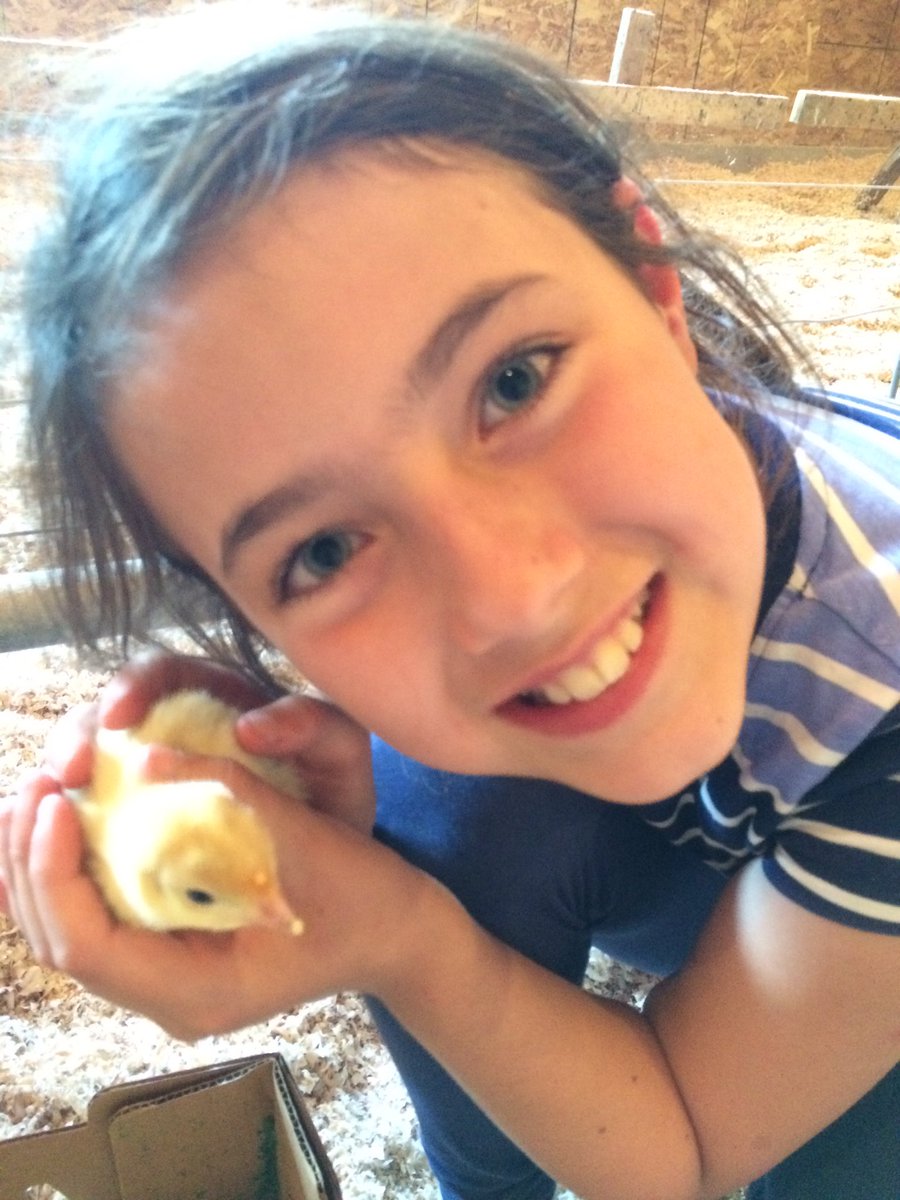 We also have a large roasters available up to 8 pounds for Thanksgiving