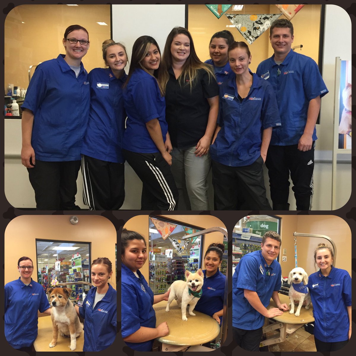 So proud of this awesome group of students for graduating academy last week! They're amazing!! Congratulations!! ✂️🐾✂️🐾