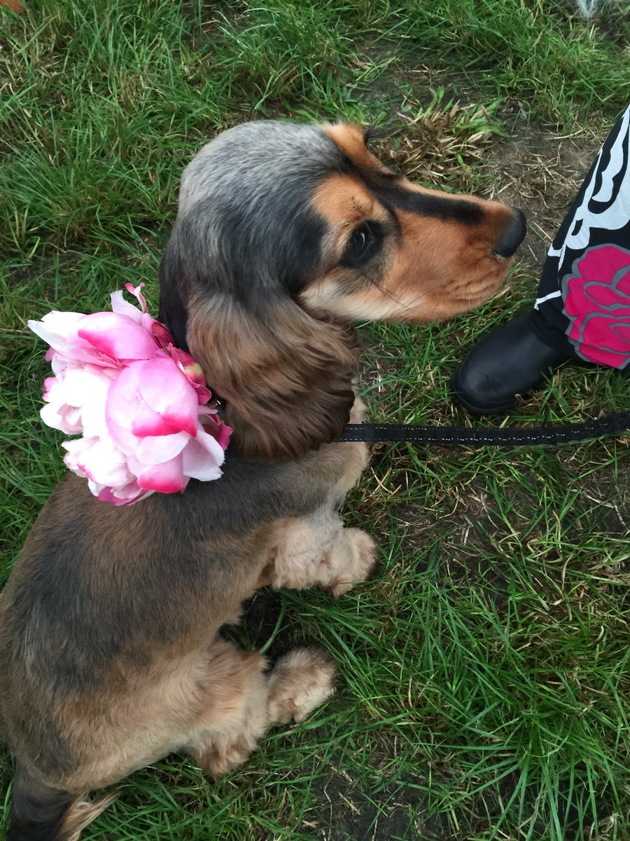Beautiful Savannah rocking a peony!