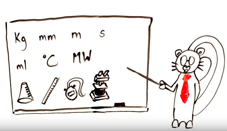 scwrl_ubc's tweet image. Got a science writing project? Here are Grammar Squirrel&apos;s tips for developing a writing process that works for you: ow.ly/pfKZ304oj3I