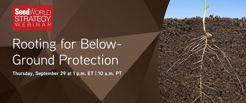 SyngentaUS's tweet image. Explore how seed treatments can protect roots by registering for the #SWWebinar on 9/29. bit.ly/23Uv8Sq