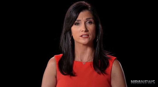 AccuracyInMedia's tweet photo. So @nranews Launched #ElitistControl Social Media Campaign https://t.co/drkl5L7hTq #tcot #2A https://t.co/7ZTTgexMJO