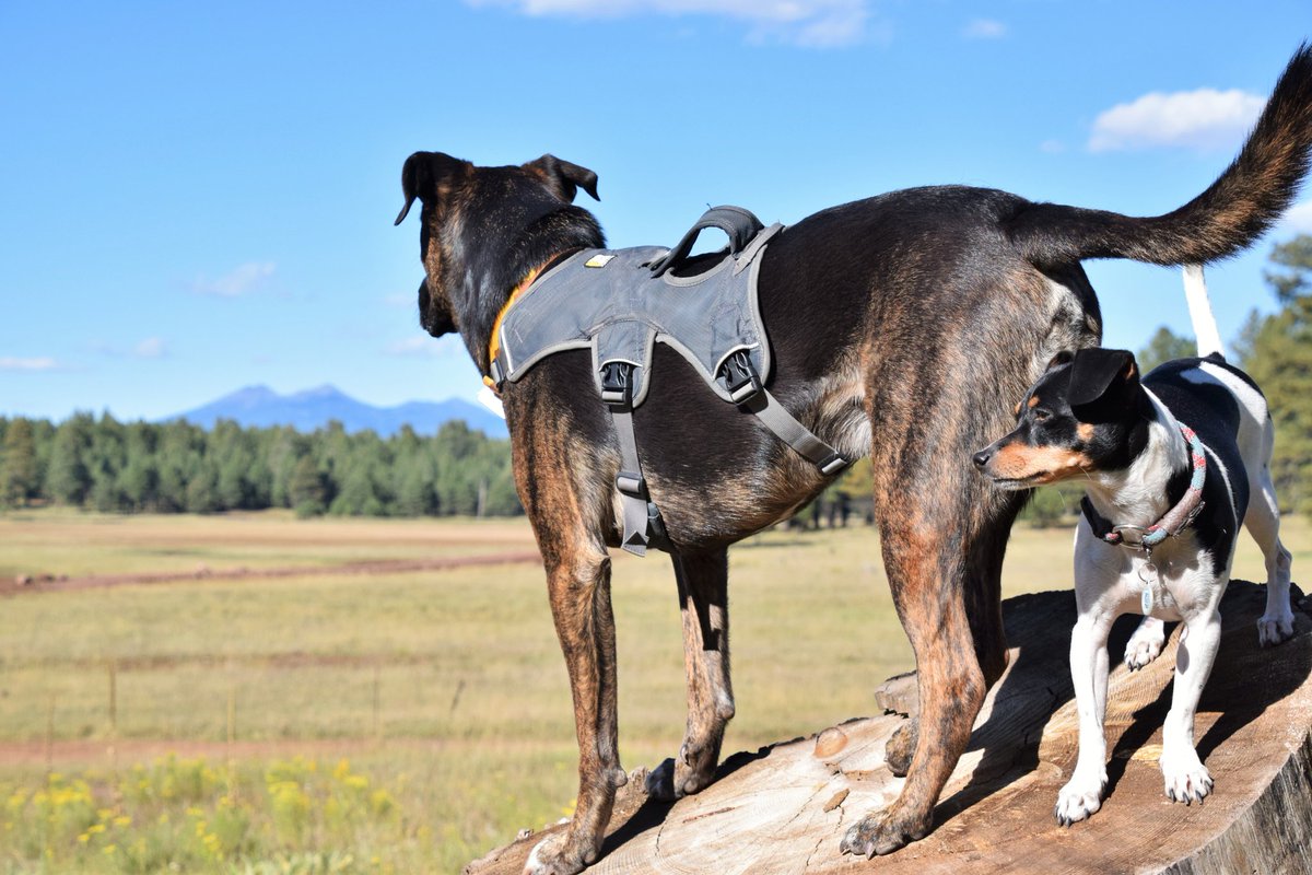 Katie Mogowski tweet media