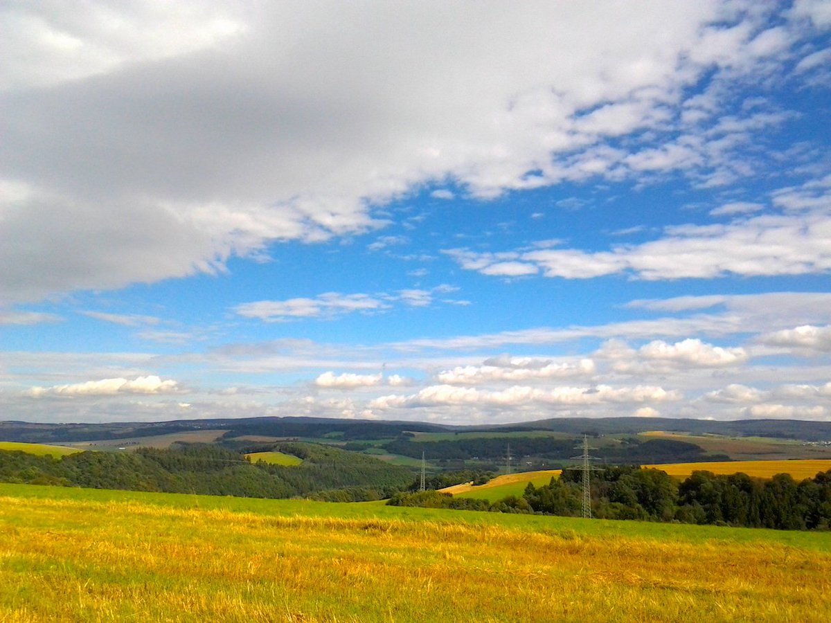 Nor child, nor man, 
Nor youth, nor sage, I find my head is grey, 
For I have lost the race I never ran

Hartley Coleridge

#photography