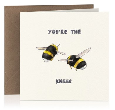 CaffertyCards tweet picture