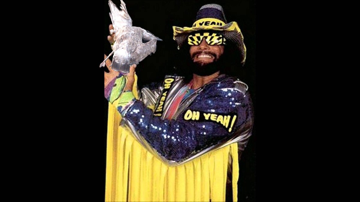 Every pic of Macho Man Randy Savage looks like he's being forced to ho...