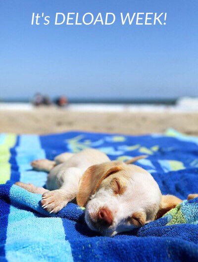 NoCarbsNoSugar's tweet image. #DeloadWeek #BringIt