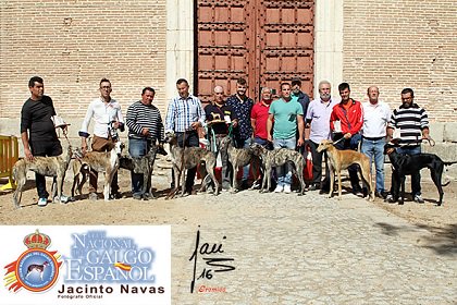 GALERÍA DE IMÁGENES DEL MORFOLÓGICO DEL GALGO ESPAÑOL CELEBRADO EN MEDINA DEL CAMPO. DOMINGO 25 DE SEPTIEMBRE
galgoes.com/medinadelcampo…
