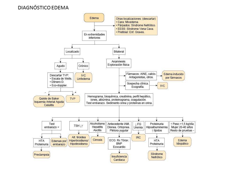 <a href="/DocenciaAB/">DocenciAB</a> Comparto con el grupo 3 del Taller Edema un algoritmo del diagnóstico del Edema #FPFarmab