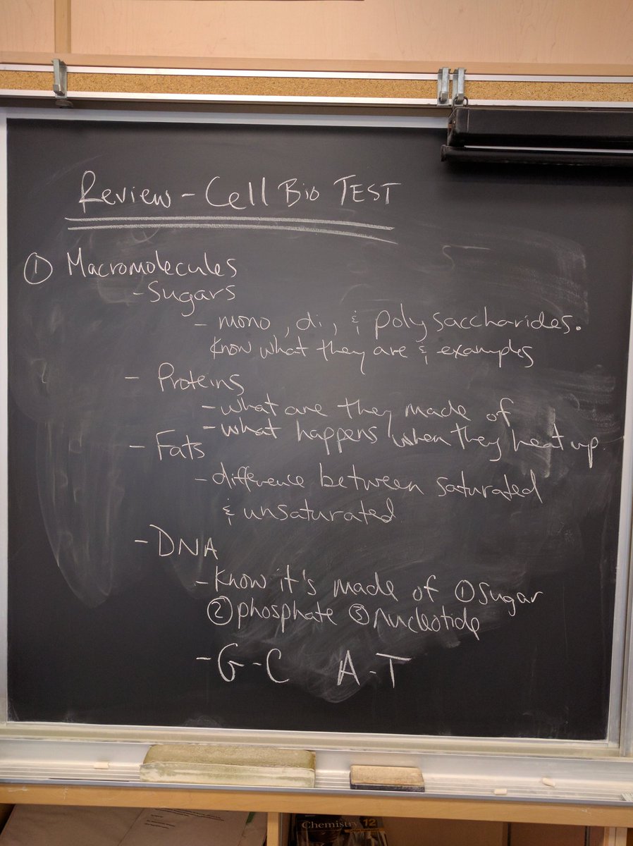 STSSMahoney's tweet image. Biology Cell Bio test review 
#nofilter