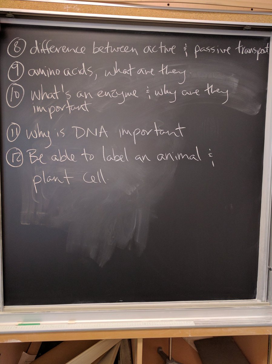STSSMahoney's tweet image. Biology Cell Bio test review 
#nofilter