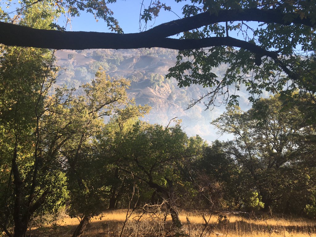 A layer of smoke over the SawmillFire this am but no visible fire. FF say they think they have the upper hand.