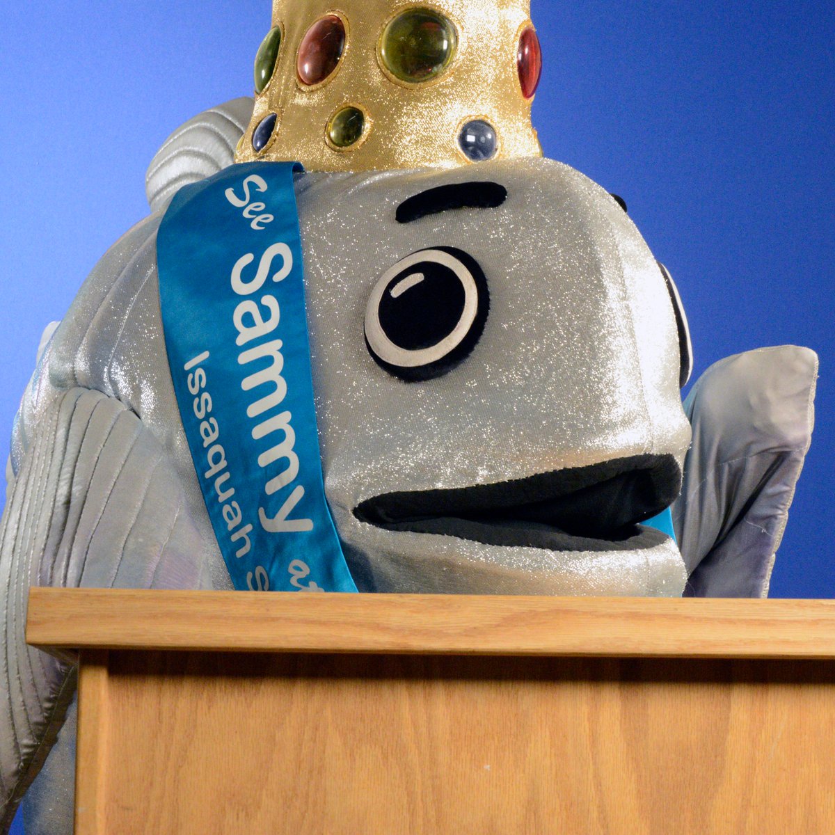 Let Sammy the Salmon debate. #Debates2016 #Findependent